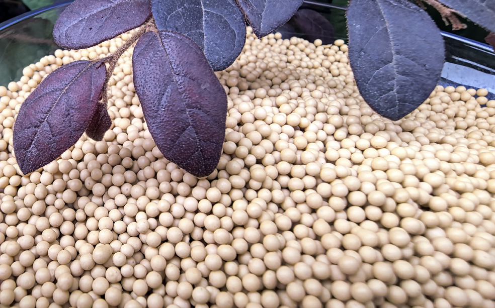 
富源化工两款复合肥新品顺利量产...